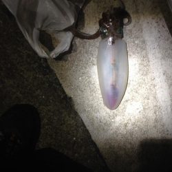 寒くなってきましたが行ってきました