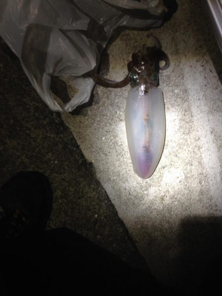 寒くなってきましたが行ってきました