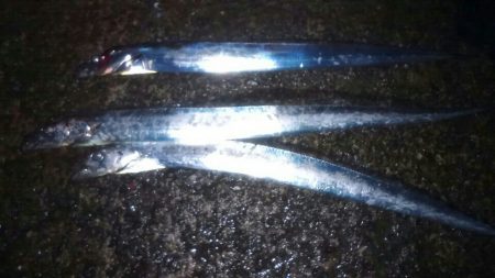 昨日は休みを取って行ったのに朝から芦屋南浜…