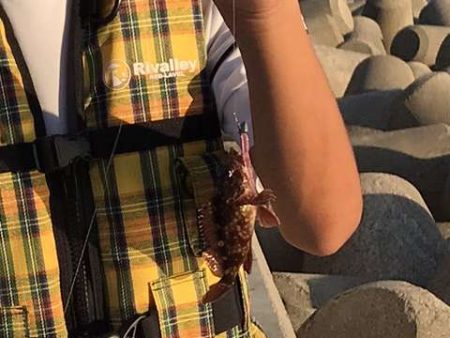 穴釣り○　エギング×