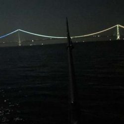 エギング終了します