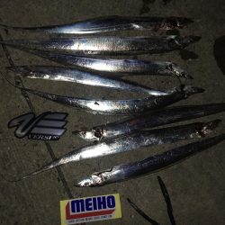 ウキとルアーで