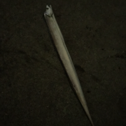 今日もサクッとタチウオ