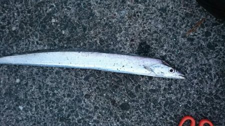 外向きは反応なし