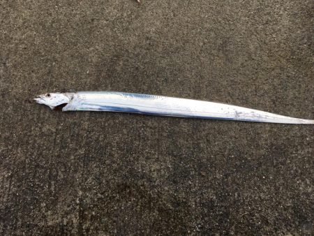 コスモで昼タチ