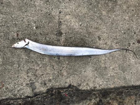 今日も超〜渋い！