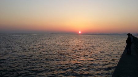 武庫川一文字で１匹