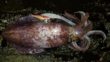 今シーズン初2キロアップ