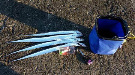 ムコイチ朝マズメ、ボチボチでした。