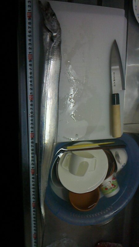 仕事帰りにちょこっと