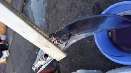 アタリはあるけど小さい