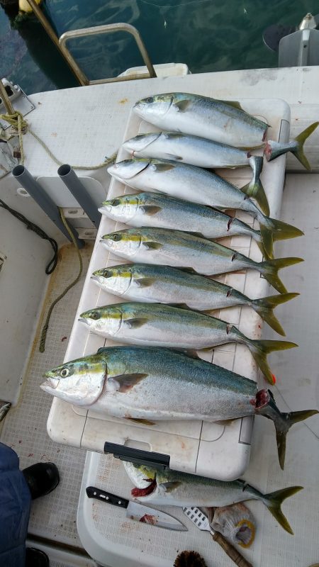 ジギング反応悪し