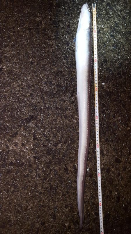 こんなん初めて！でも…