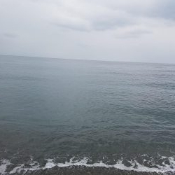 秋イカも終盤？