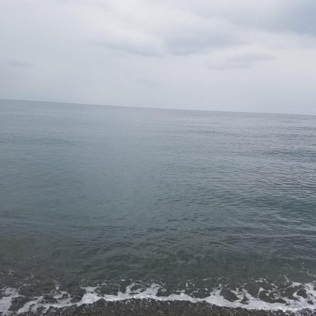 秋イカも終盤？