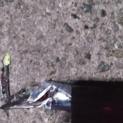 タチウオリベンジ