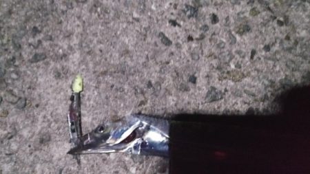 タチウオリベンジ