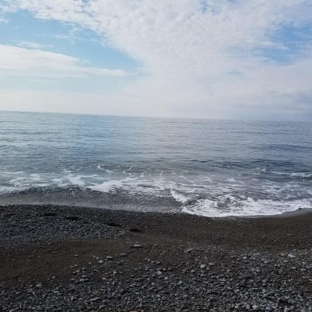 奥さんが主人公…