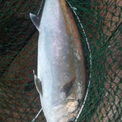 始め良ければ終わり良し