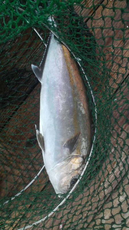 始め良ければ終わり良し