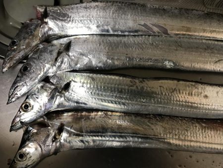 かなりスレて来た感じ?