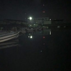 イワシが食べたくて