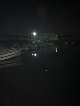 イワシが食べたくて