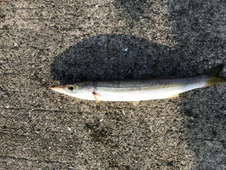 暴風 まともに釣れない