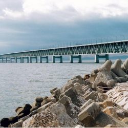 カレイシーズン到来