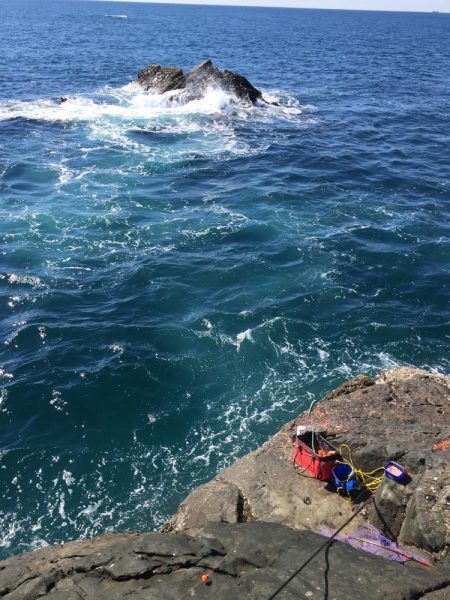 南紀 沖磯でフカセ釣り