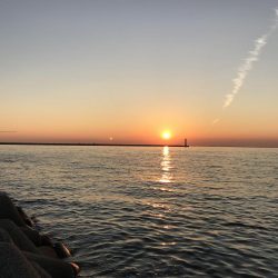 太刀魚しか釣れなかった！