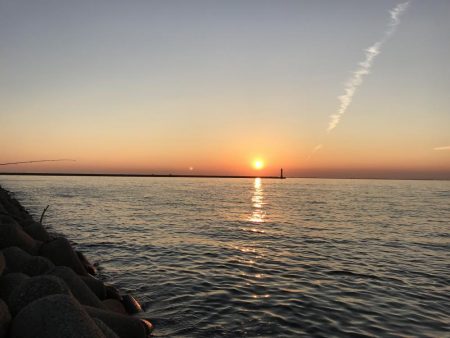 太刀魚しか釣れなかった！