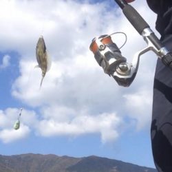 爆釣カワハギ！