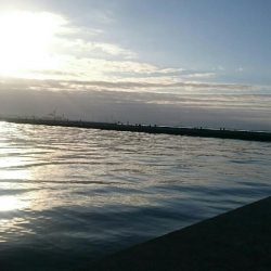 先週と同じく渋い