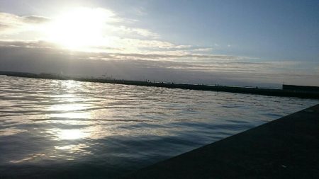 先週と同じく渋い