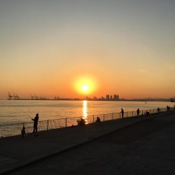 タチウオ終盤？