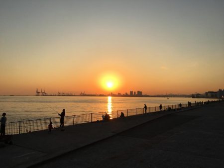 タチウオ終盤？