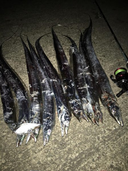 フラップ釣法、中毒性ありです！！