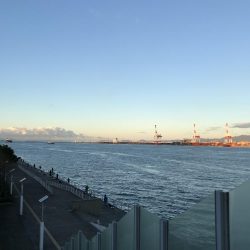 タチウオ キビナゴ