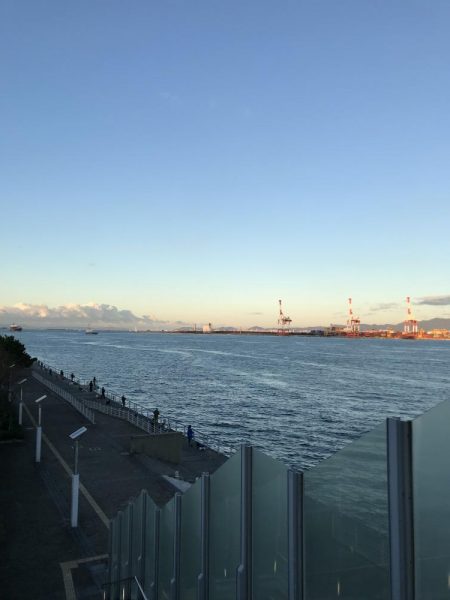 タチウオ キビナゴ