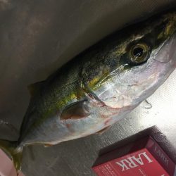 極寒ショアジギ