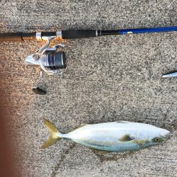 シラスパターンはノーサンキュー