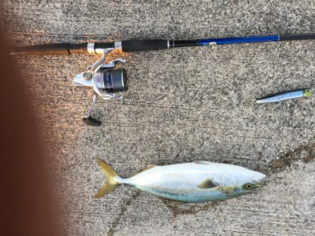 シラスパターンはノーサンキュー