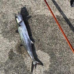 浮き呑ませ、エレベーター仕掛けの2刀流