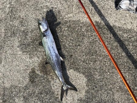 浮き呑ませ、エレベーター仕掛けの2刀流