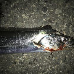 ツワモノのおじさん達