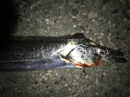 ツワモノのおじさん達