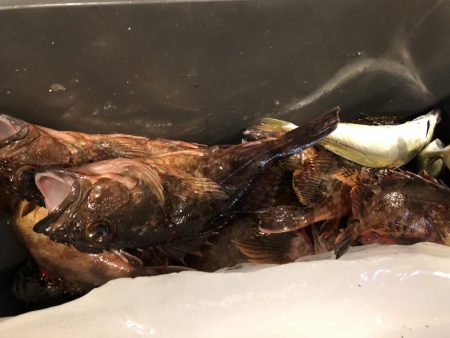 去年の面影なし