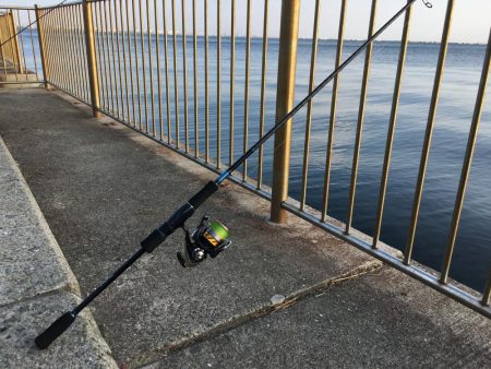 今日はあたりが…