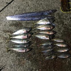 フィッシングダディ